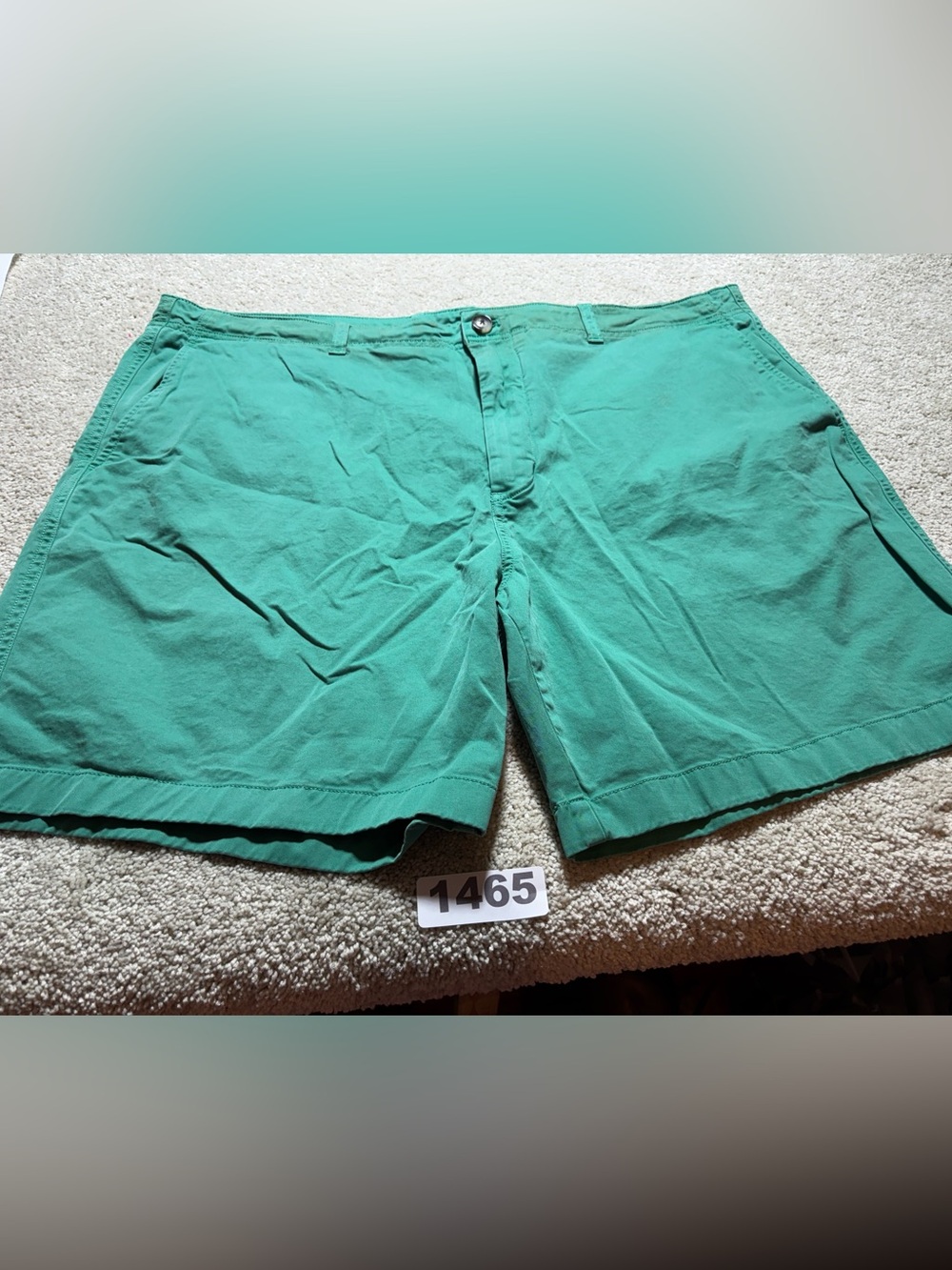 Vineyard Vines Club Shorts Mens 40 Green Chino Casual Flat Front Pockets